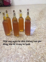 Phan Chung
