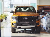 Thảo Ly Suối Tiên Ford