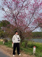 Hùng Quân 