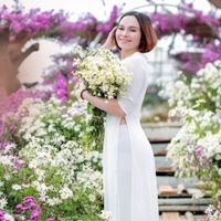 Lê thị thảo 
