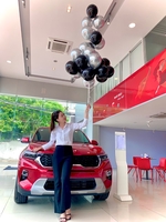 Thu Hà Mazda Trường Chinh