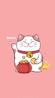 White Cat Xiteen Shop - 0385783938