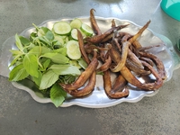 Cá Trạch