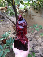Nguyễn Quang Đức Anh