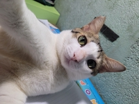 Nguyễn Trương Minh Khánh