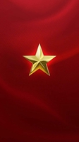 Vỹ