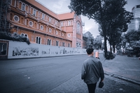 Vũ