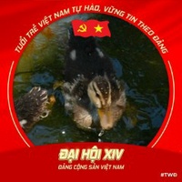 Nguyễn Trần Thiện Lâm