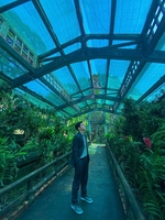 Duy