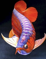 Nuyen tri