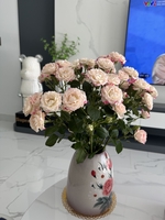 Mỹ nữ bđs Thuỷ nguyên 