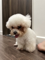 Nguyen