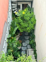 Huỳnh Kỳ Đức