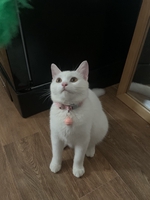 KiTa
