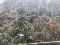 Cao Tuyết Ngân