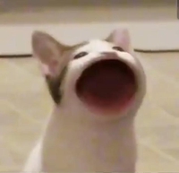 Lê Đức An