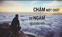 Tú Xe Zin