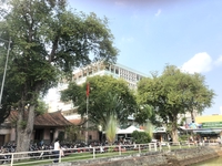 Thái Thuận