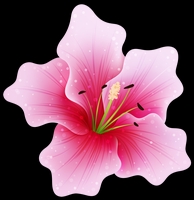 Nguyễn Thị Trúc Phương