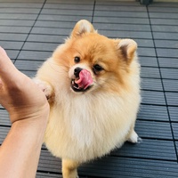 Rơm