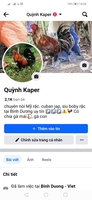 fb Quỳnh kaper kaper - 0364308189