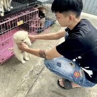 nguyễn thành lương