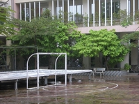 Thắng Vương