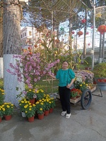 Hoàng anh