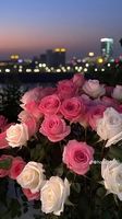 Hạ Anh