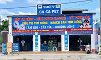 Nguyễn Huy Lợi