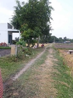 Thuý