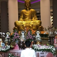 Thông Đinh