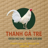 thanh gà tre 