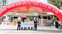 Bệnh Viện Thú Y Quảng Nam