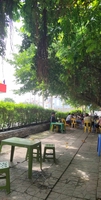 Hồng