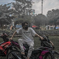 Vỹ Đang Trốn Dịch