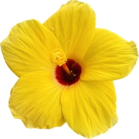 Nguyễn Đông Hải