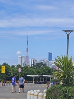 Tuấn Giang