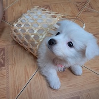Hương Lê
