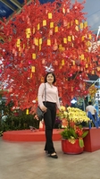 Huệ