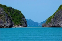 bùi anh