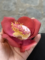 Phạm Huyền