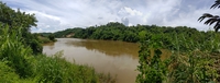 Nguyên Trần Lãm
