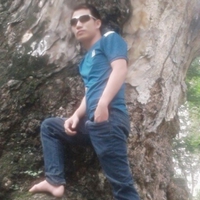 Trần hoàng 