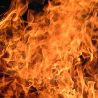 Hưng Nguyễn Phúc