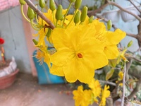 Nông thôn