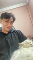 Tý