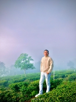 Thanh Hải
