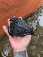 thanh phong mỹ phước