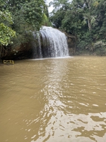 anh Đồng